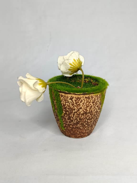 Pot Lumut – 1