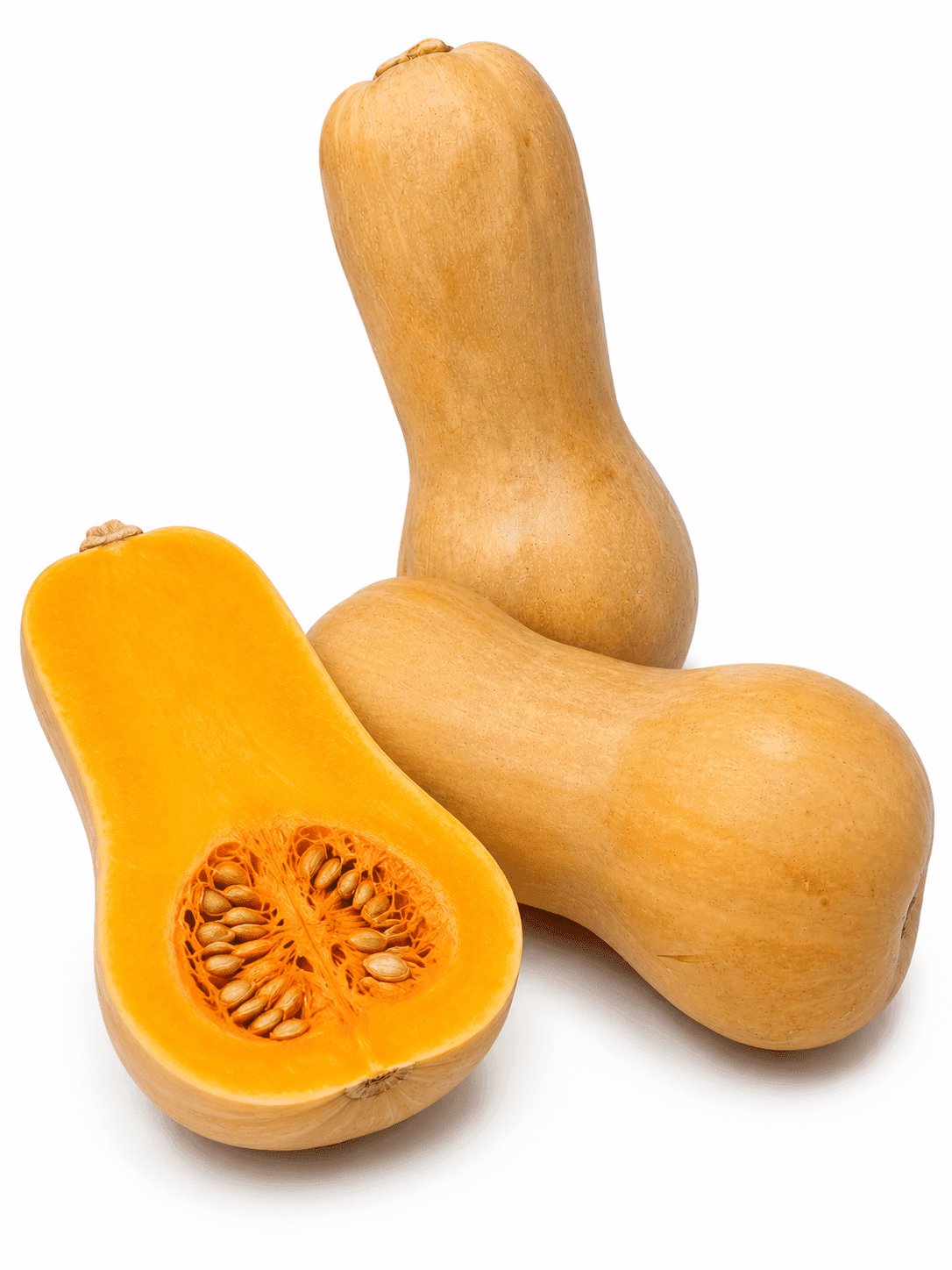 Labu Butternut – 1