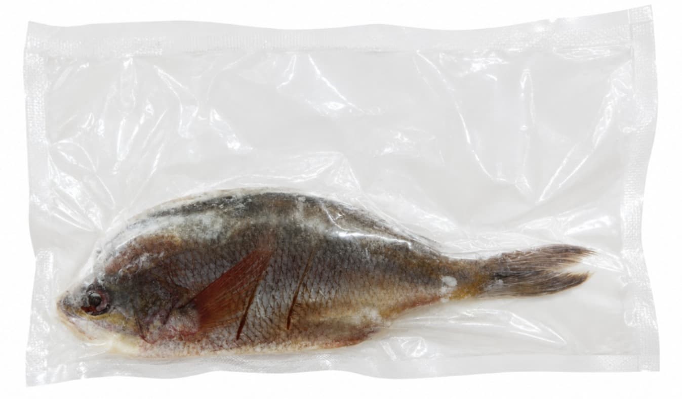 Ikan Ekor Kuning – 1