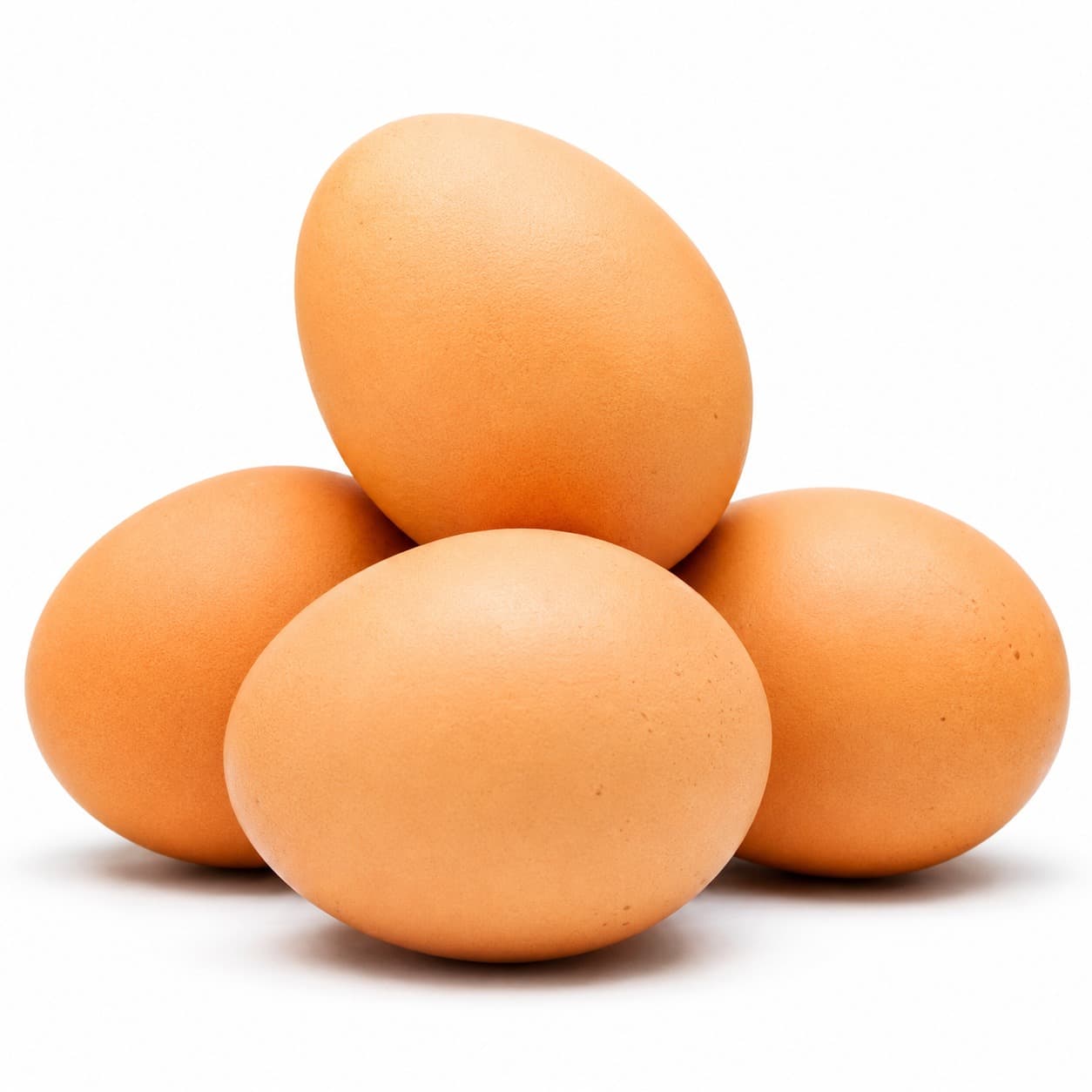 Telur Ayam Negeri – 1