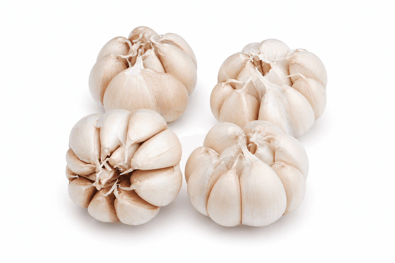 Bawang Putih – 1