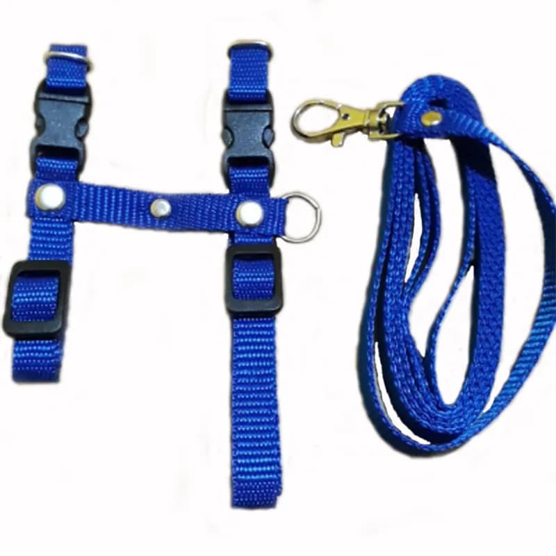 Harnes Polos – 1