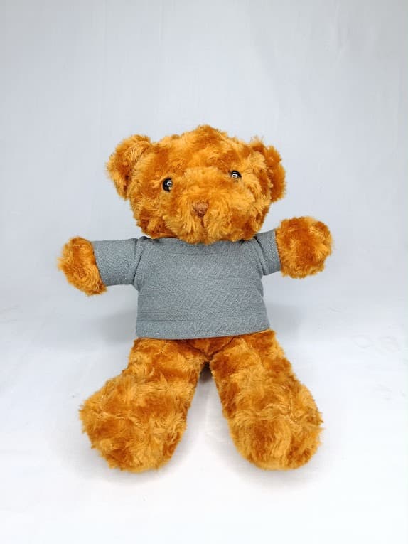 Boneka Bear Baju TG – 1