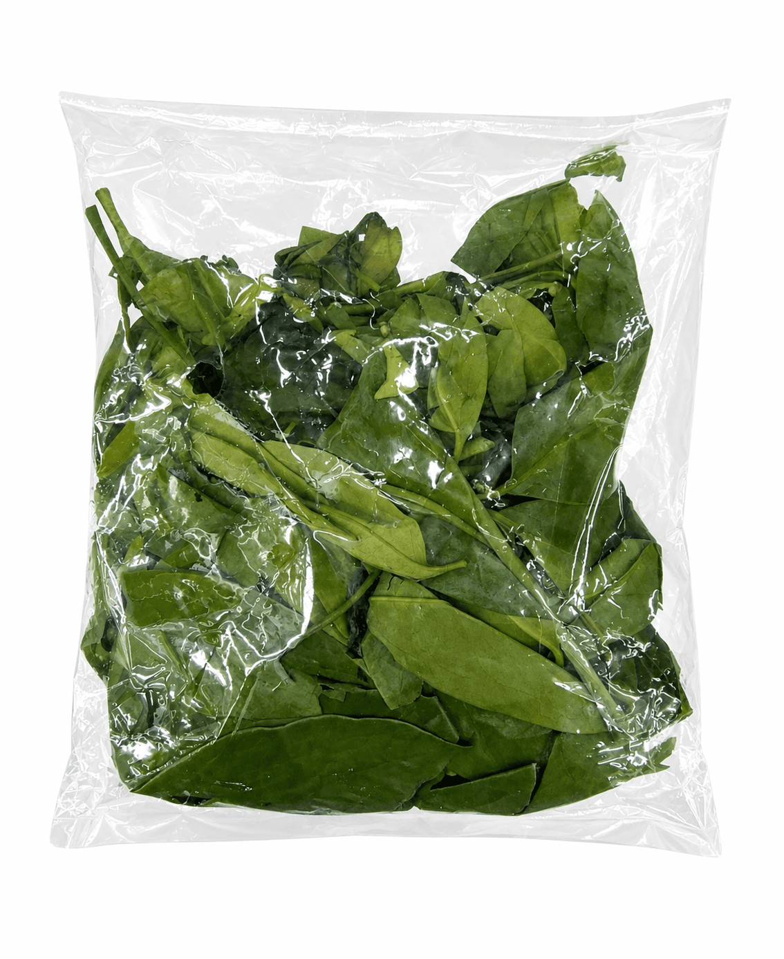 GP Daun Tangkil Kemasan 50 gr – 1