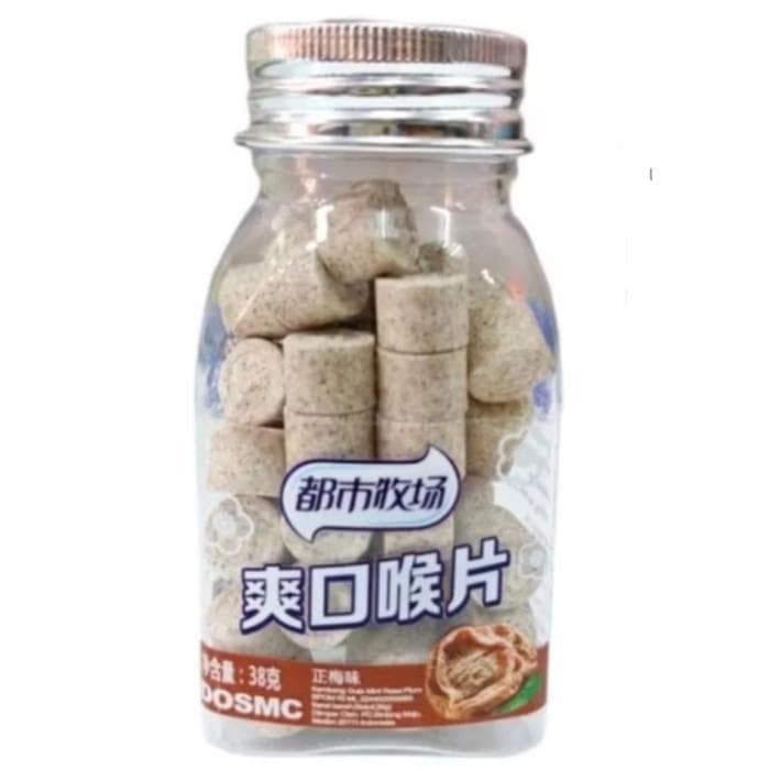 Xinle Permen Mint Rasa Plum 38 gr – 1