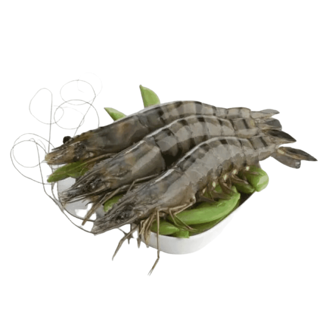 Udang Vaname AK 15 – 1