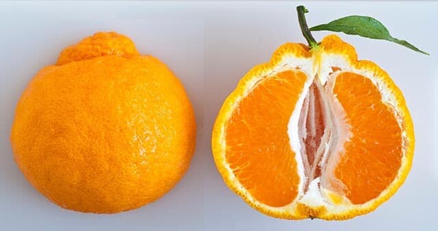 Buah Jeruk Dekopon Impor – 1