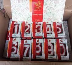 Rajawali Lilin Ulang Tahun 24 – 1