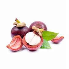 Buah Manggis Ceri – 1