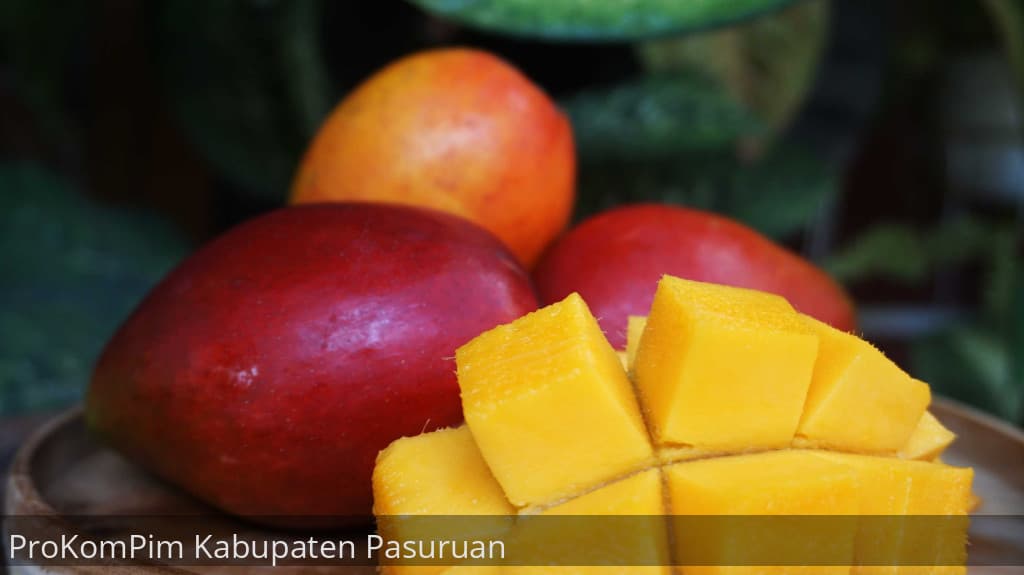 Buah Mangga Grafita – 1