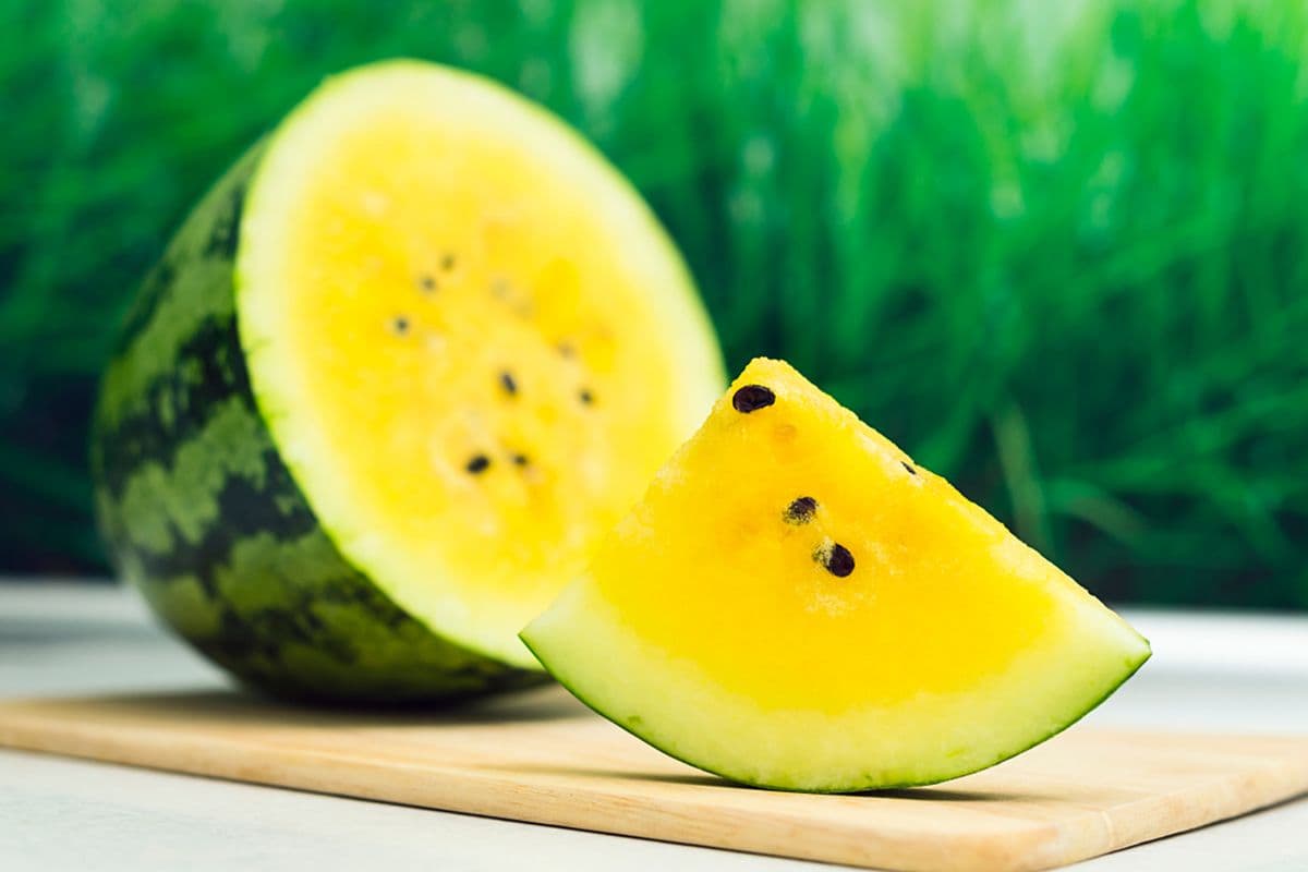 Buah Melon Premium Cube – 1