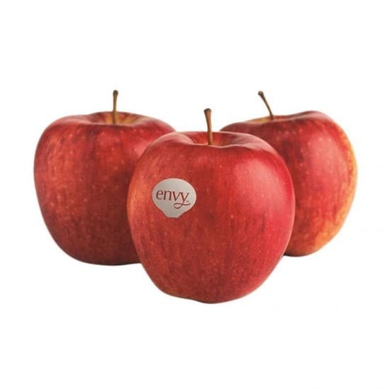 Buah Apel Envy – 1