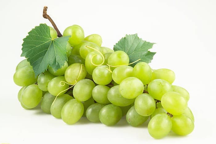 Buah Anggur Hijau – 1