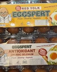 Eggspert Telur Antioksidan Isi 10 Butir – 1