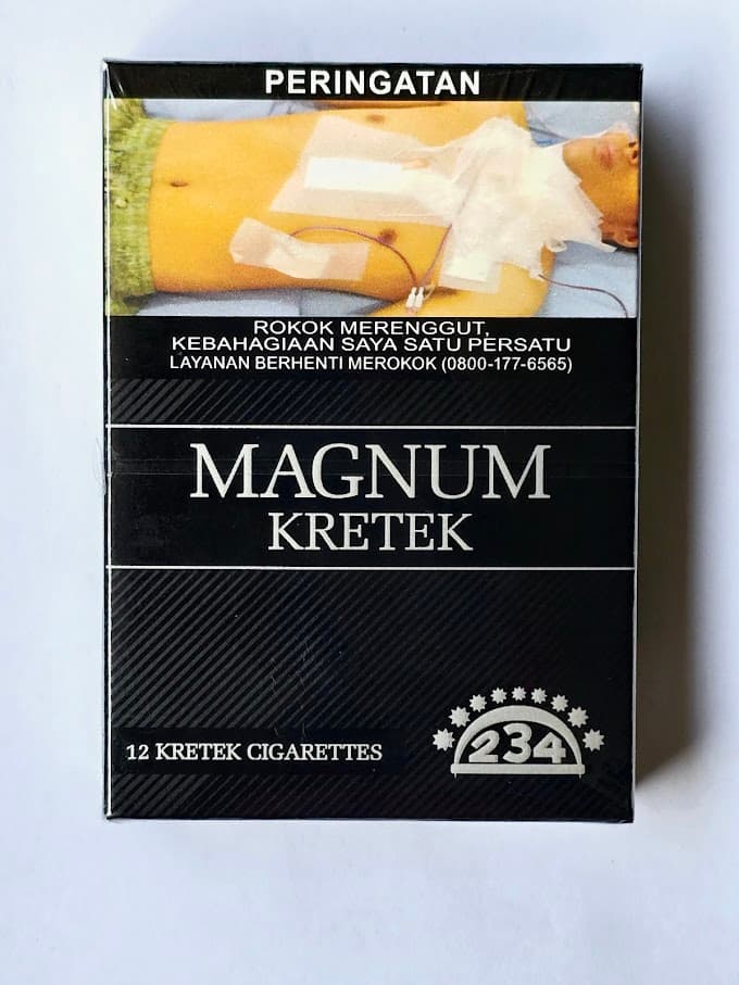 Dji Sam Soe Magnum Kretek 12 Batang – 1