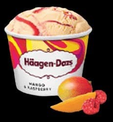 Haagen-Dazs Paket Mini Mangga Raspberry 75 ml – 1