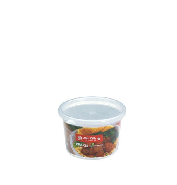 Lion Star Praxis Keep 002 – 1