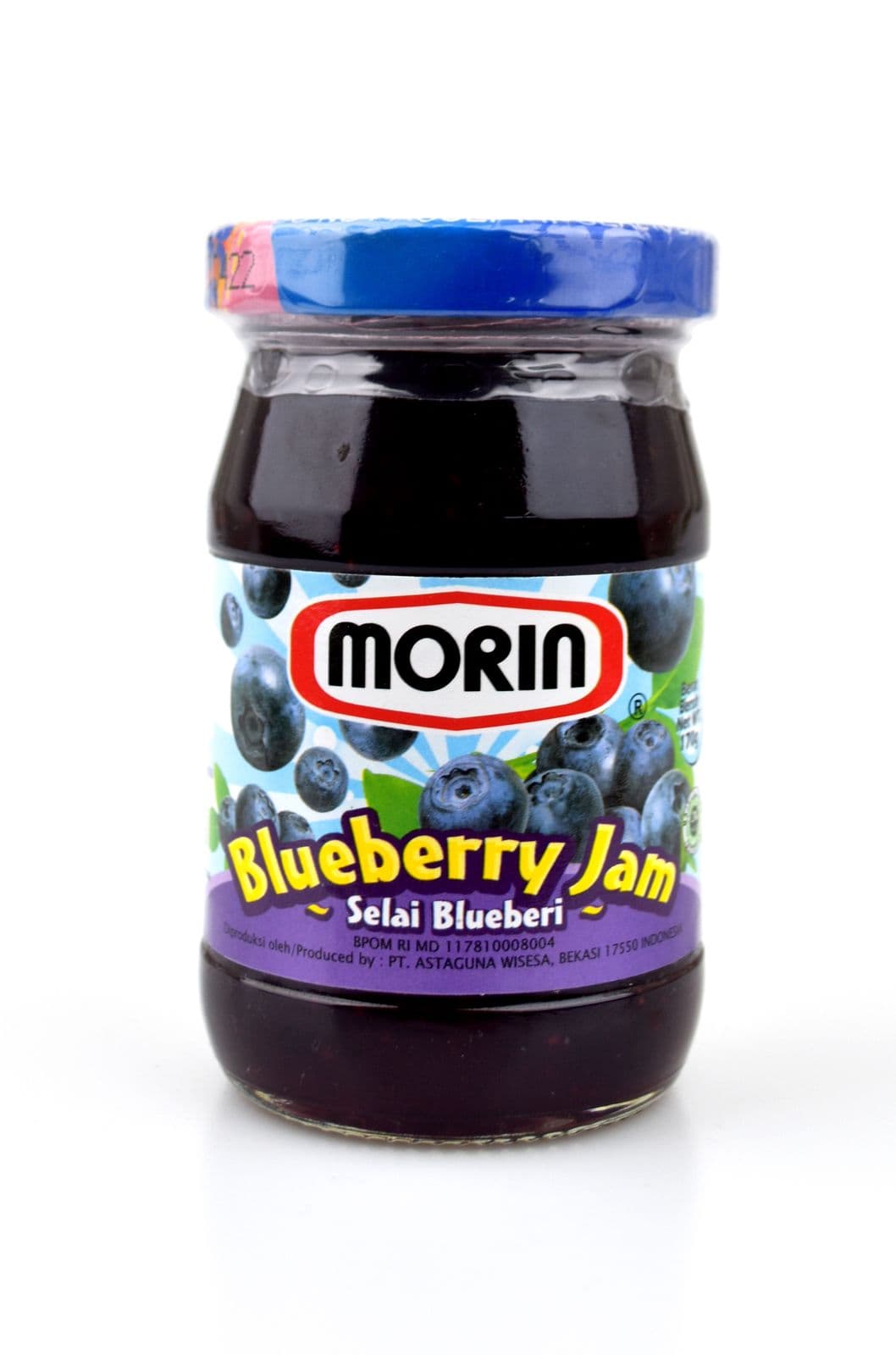 Morin Blueberry 170 gr – 1