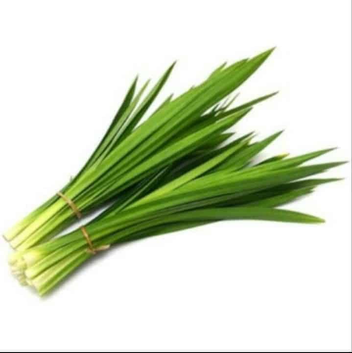 Daun Pandan – 1