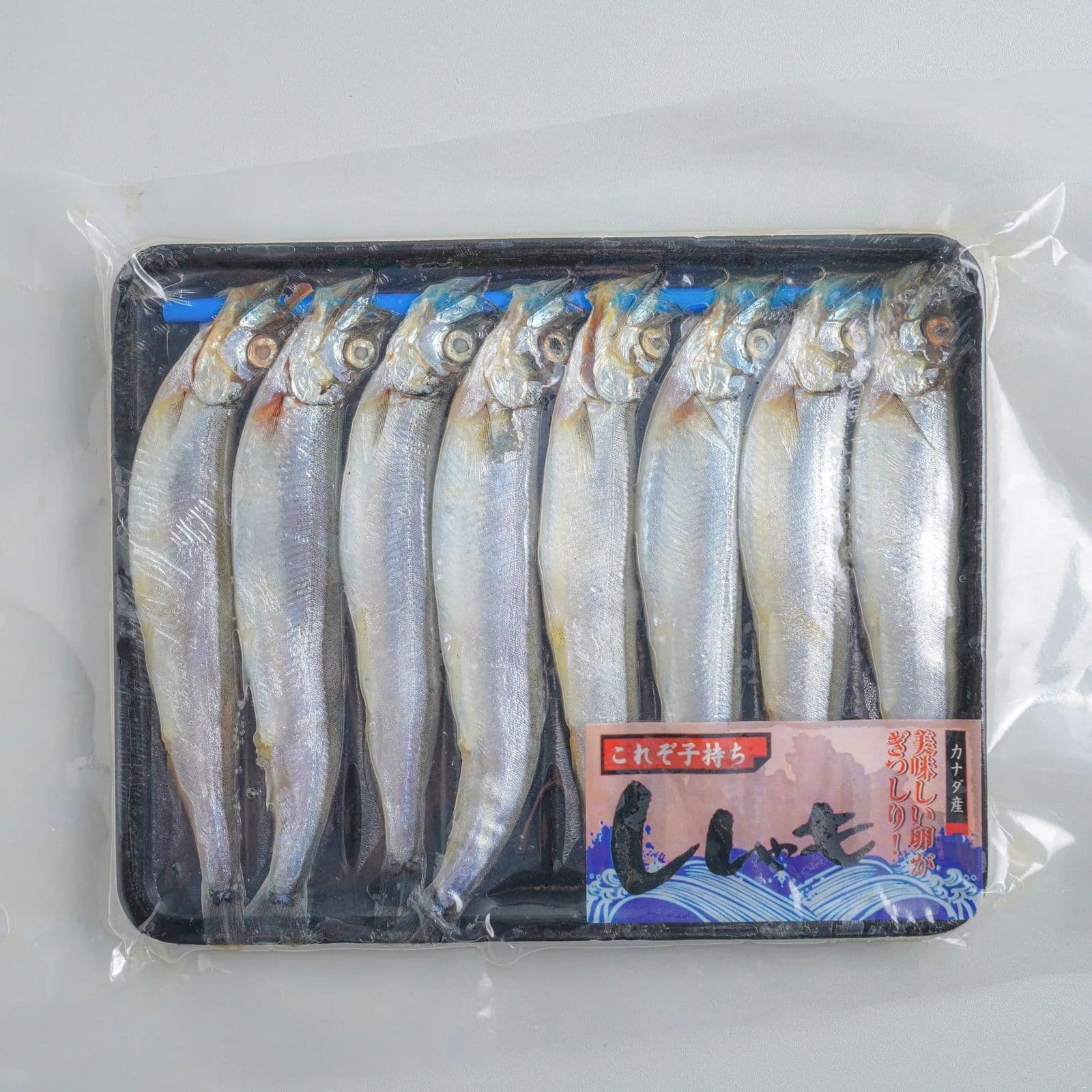 Ikan Shisamo – 1