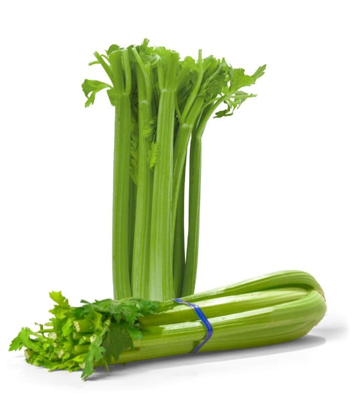 Sayur Seledri Batang Impor – 1