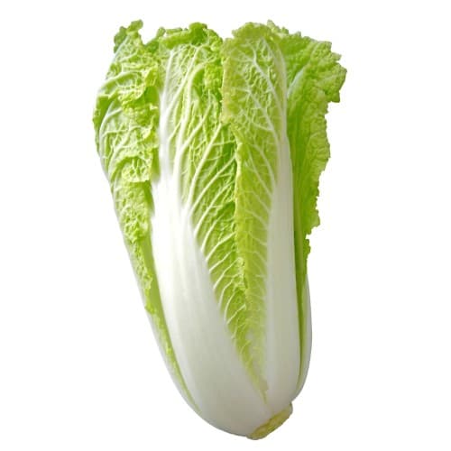 Sayur Sawi Putih – 1