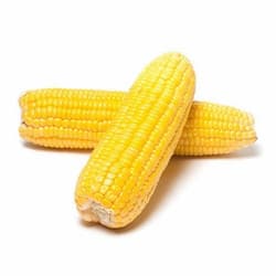 Jagung Manis – 1