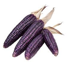 Jagung Ungu 250 - 300 gr – 1