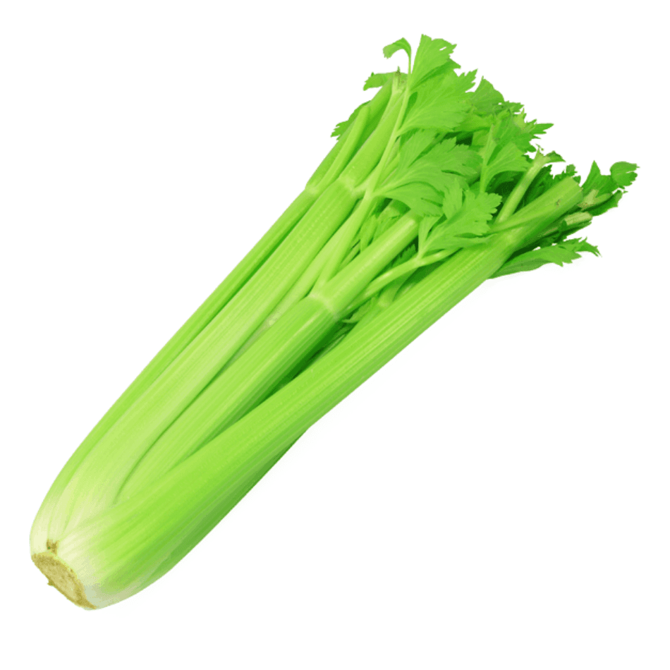 Celery / Seledri Stick Import 600 -700 gr – 1