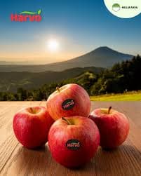 Harvo Buah Apel Fuji Premium 300 - 350 gr – 1