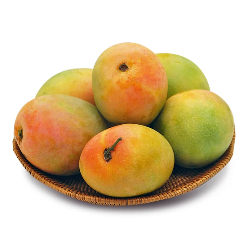 Buah Mangga Gedong Biasa 1,5 kg (6-7 buah) – 1