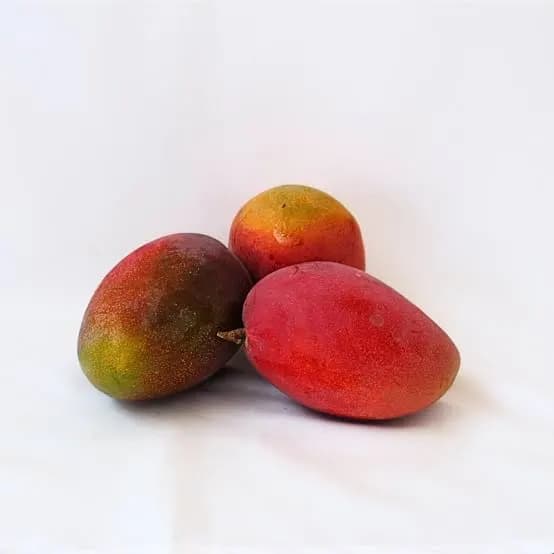 Buah Mangga Irwin 1,5 kg – 1