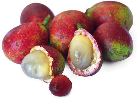 Buah Matoa 250 gr – 1