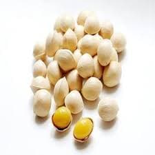 Kacang Ginkgo – 1