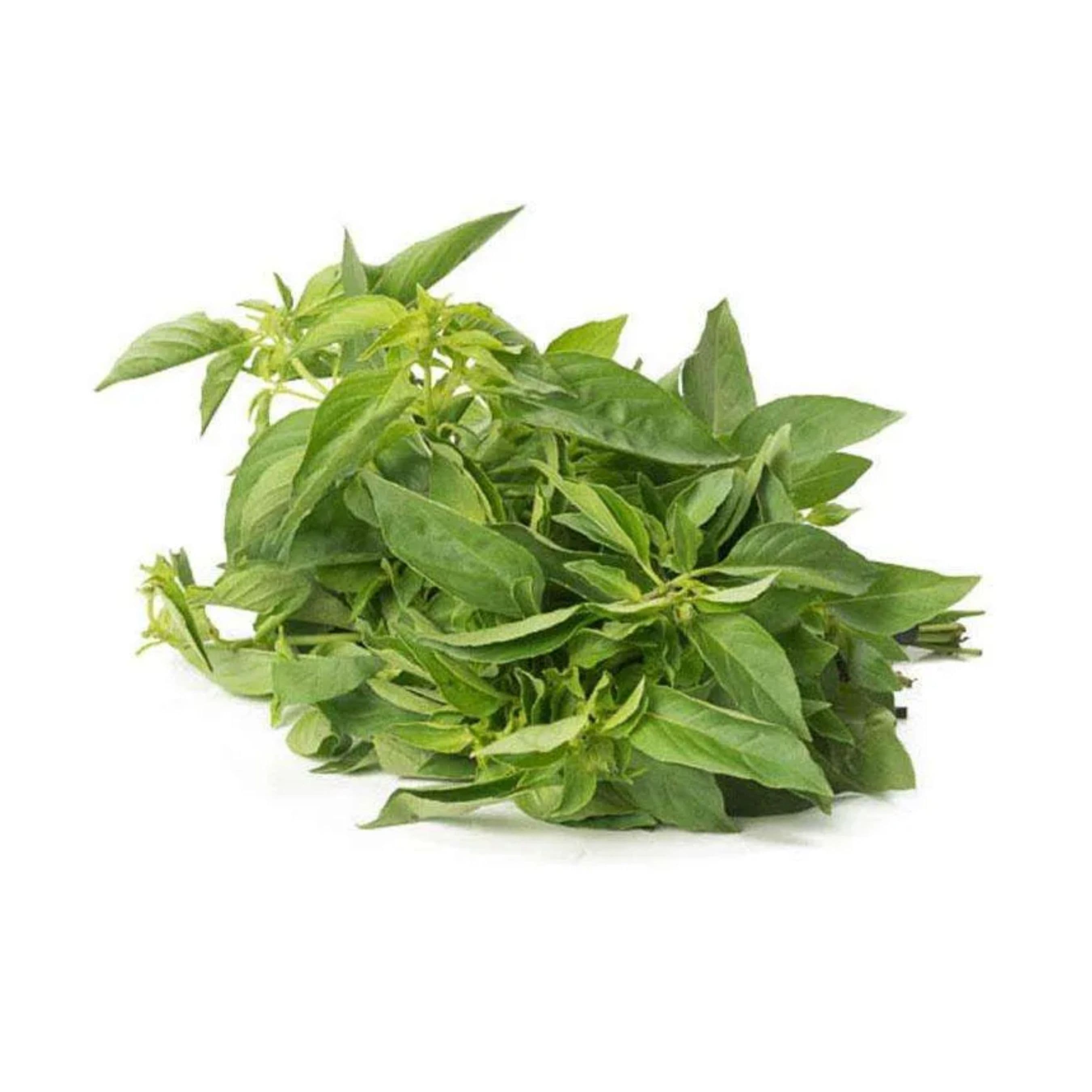 Matahari Daun Kemangi 50 gr – 1