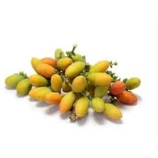GP Buah Melinjo Kemasan Pack – 1