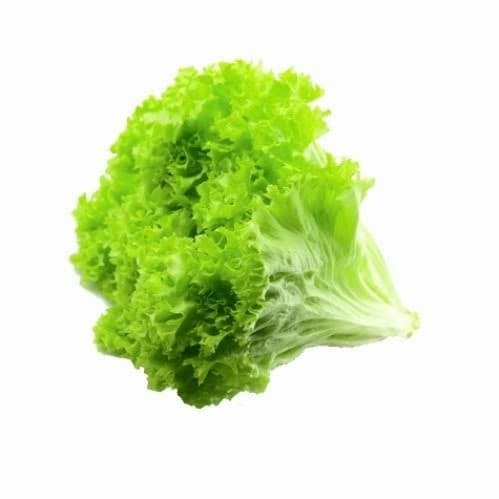Barukai Selada Keriting Hidroponik 250 gr – 1