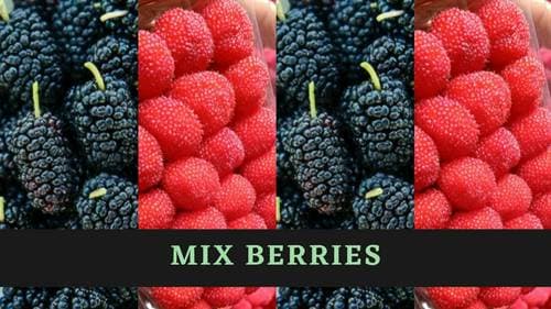 Bandung Fresh Farm Mixberry 250 gr – 1