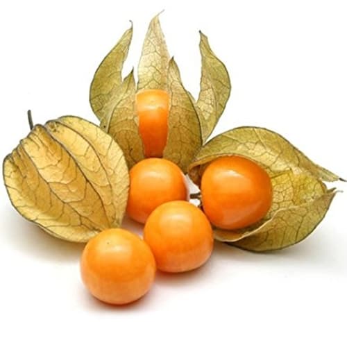 IP Farm Golden berry 250 gr – 1