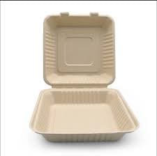 Bagasse Kotak Makan 8x8 inci – 1