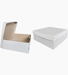 Dus Putih Tipis ukuran 20x20 cm isi 10 pcs – 1