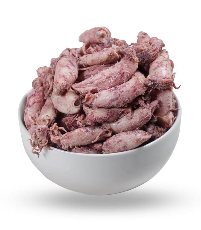 Mhk Cumi Sotong – 1