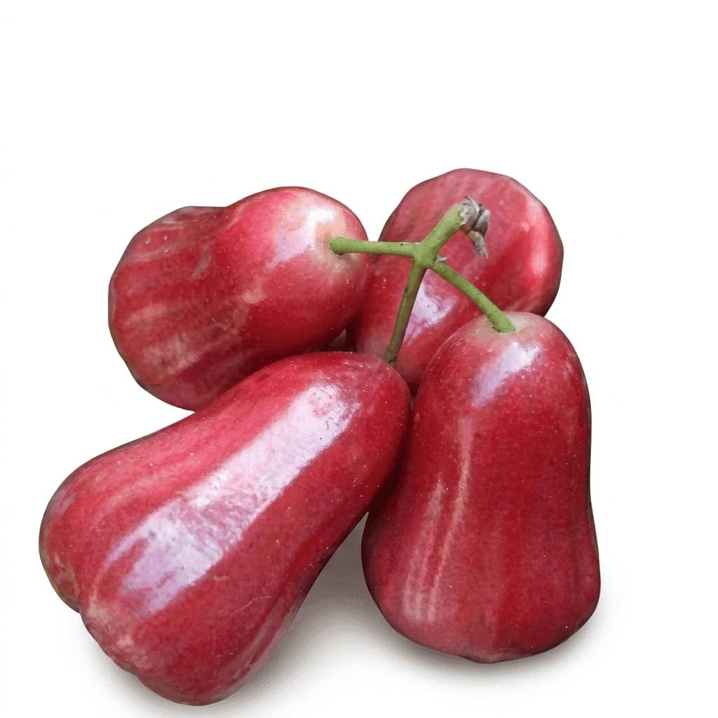 Buah Jambu Air Madu Deli – 1