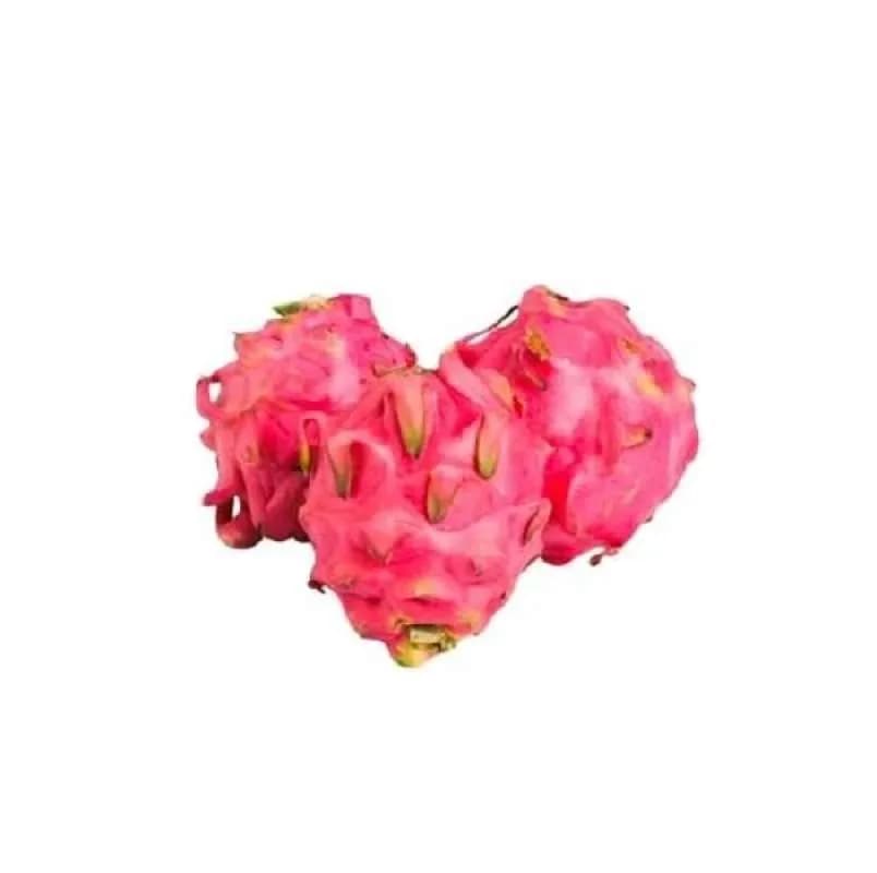 Buah Naga Merah Organik – 1