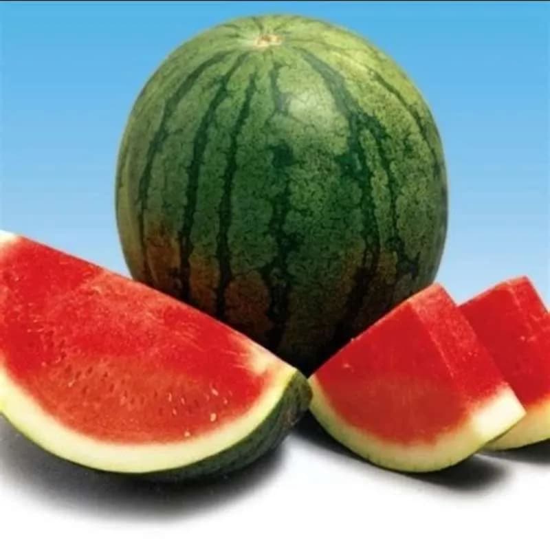 Buah Semangka Merah – 1