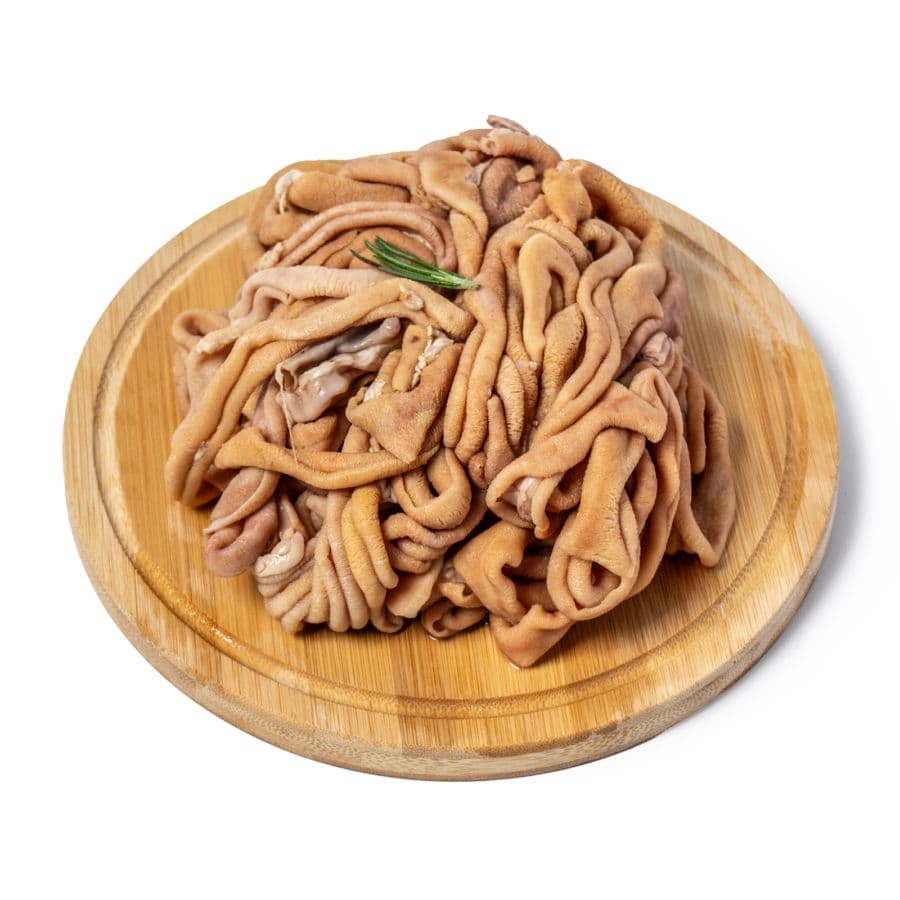 Usus Ayam – 1